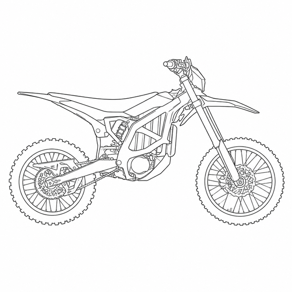 Ezzsupplysells E-BIKE DIGITAL ACCESS